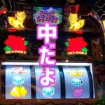 「ハナボイス」「カナボイス」参戦！沖ドキDUO【155パチニズム】Japanese casino